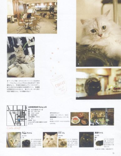 Cover image : 猫カフェ