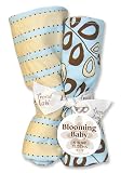 Trend Lab Willow Teal Set of 4 Burps