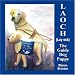 LAOCH (Lay-ock) The Guide Dog Puppy