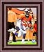 Framed Selvin Young Denver Broncos 8x10 Photo
