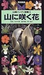 山に咲く花―写真検索 (山渓ハンディ図鑑)