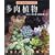�����A���\���j�[�N�Ȍ`�ƐF���y���� (NHK��̉��|�K�[�f�j���O21)