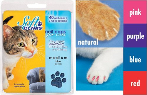 Soft Paws / Soft Claws for Cats - Medium Natural