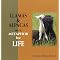 Learn More About Alpacas