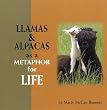 Llamas and Alpacas as a Metaphor for Life