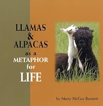 Llamas and Alpacas as a Metaphor for Life