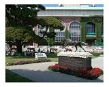 Belmont Park Sports Photographic Poster Print by Cindy Pierson Dulay, 20x16