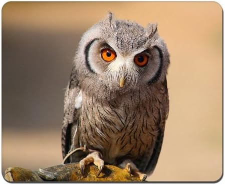 Scops Owl Mousepad,Gaming Mouse Pad (10.2x8.2 inches)