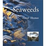 SEAWEEDS PB (Natural World (Smithsonian)) book cover