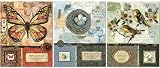 3 Assorted: 16x20 Stretch Canvases Attic Finds & Baroque Butterfly