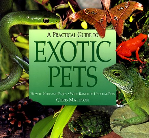 A Practical Guide to Exotic Pets