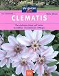 Clematis