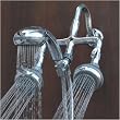 Captain's Quarters Chrome Shower Head