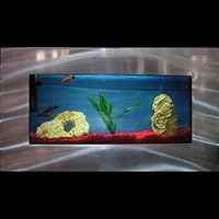 Bayshore Aquarium BW1SLVR Small Rectangular Wall Aquarium, Silver