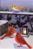 Winter Sonata