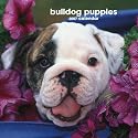 Bulldog Puppies 2007 Calendar