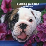 Bulldog Puppies 2007 Calendar