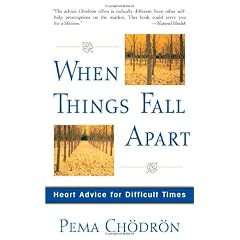 When Things Fall Apart: Heart Advice for Difficult Times