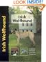Irish Wolfhound (Dog Breeds)