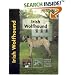 Irish Wolfhound (Pet love)