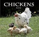 Chickens