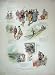 1901 Colour Print Golden Glove Squire Tamworth Country