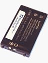 Nintendo DS Gaming System Battery