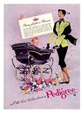 Pedigree Pram, 1950s (30x40cm Art Print)