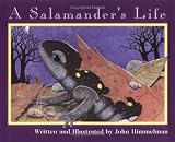 A Salamanders Life (Nature Upclose)