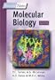 Instant Notes in Molecular Biology (Instant Notes) (2nd Edition)