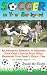 Search : Soccer in Your Backyard
