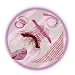 Simba 5891017 - ChiChi Love Fashion to Go