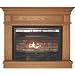 World Marketing GFD2340 Vent-Free Gas Fireplace