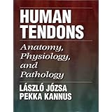 Human Tendons: Anatomy, Physiology, and Pathology