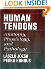 Human Tendons