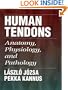 Human Tendons