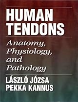 Human Tendons Human Tendons
