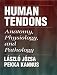   - Human Tendons: Anatomy, Physiology, and Pathology