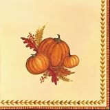 C.R. Gibson Decorated 3-Ply Paper Napkins, 5-Inch, 20-Pack, Harvest Blessings