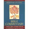 HarperCollins Bible Commentary - Revised Edition