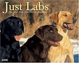 Just Labs 2006 16-Month Wall Calendar