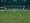 FIFA Manager 07 (PC DVD)