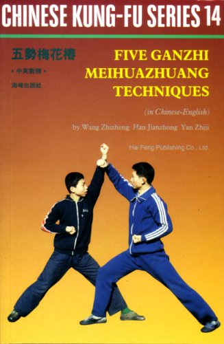 Kung Fu