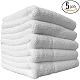 (5-Pack) THE RAG COMPANY 16 in. x 16 in. Everest 800 Double-Plush Professional Korean 70/30 Microfiber Detailing Towels