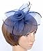 Womens Big Flower Mesh Feather Fascinator on Hair Clip and Brooch Deep Blue