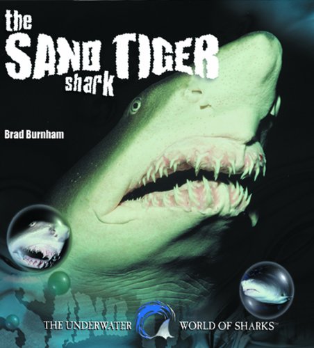 The Sand Tiger Shark (Underwater World of Sharks)