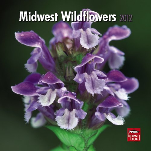 Midwest Wildflowers 2012 7X7 Wall Calendar