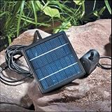 Small Solar Pump & Fountain Kit