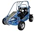 American SportWorks Vector 169cc  6-Horsepower Full-Suspension Go-Kart