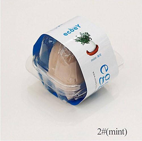 Egglings ! Egg Hatches Plant Egg-shaped Pot Plant Plants in an Eggshell 3pcs/set Blue Color